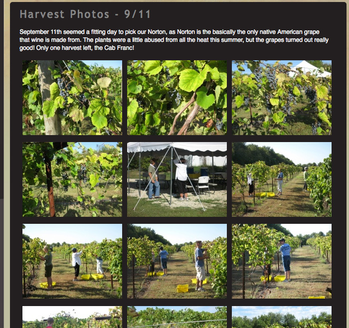 Photo Gallery at Grace Hill Winery © Barrett Morgan Design LLC