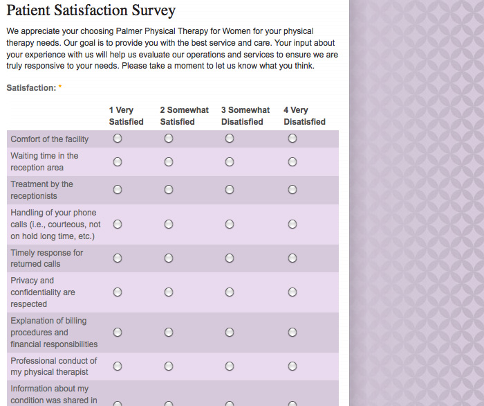 Palmer Physical Therapy Website Design - Patient Survey