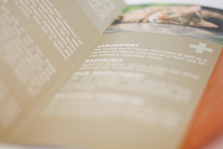 Village Animal Hospital Brochure © Barrett Morgan Design LLC