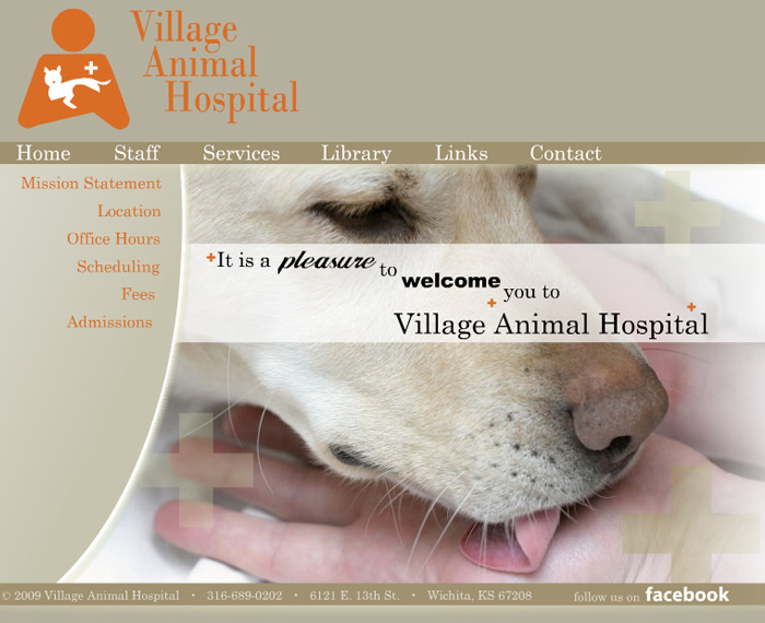 Flash website for Village Animal Hospital