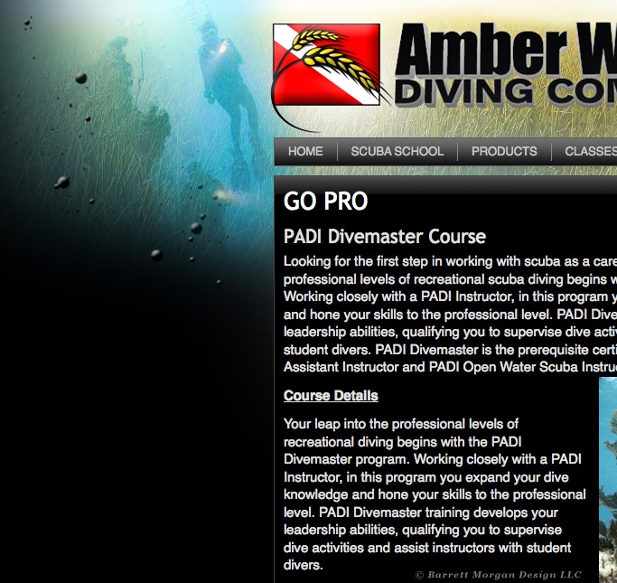 Amber Waves Diving Website Development