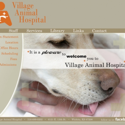Flash website for Village Animal Hospital